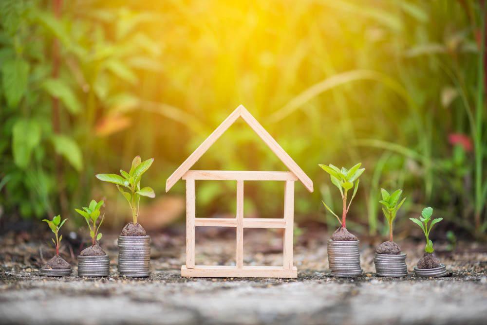 Investissement locatif vert : nouvelles opportunités et contraintes